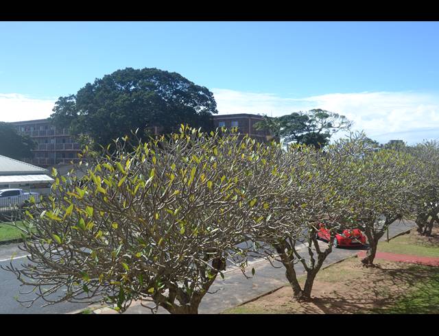 1 BEDROOM FLAT FOR SALE IN SCOTTBURGH CENTRAL